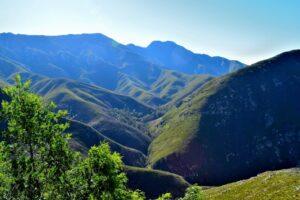 Gin tasting with a view of the Outeniqua Mountain