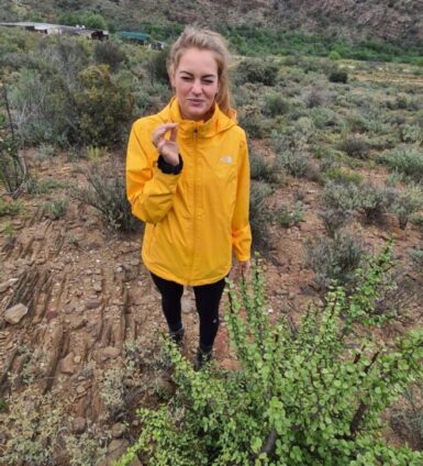 Have a taste of the Klein Karoo