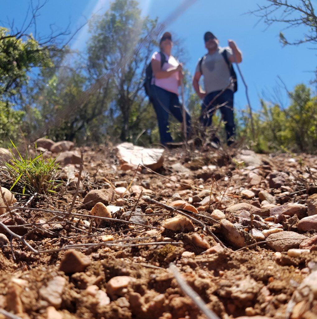 Bring your friends along to enjoy this nature walk