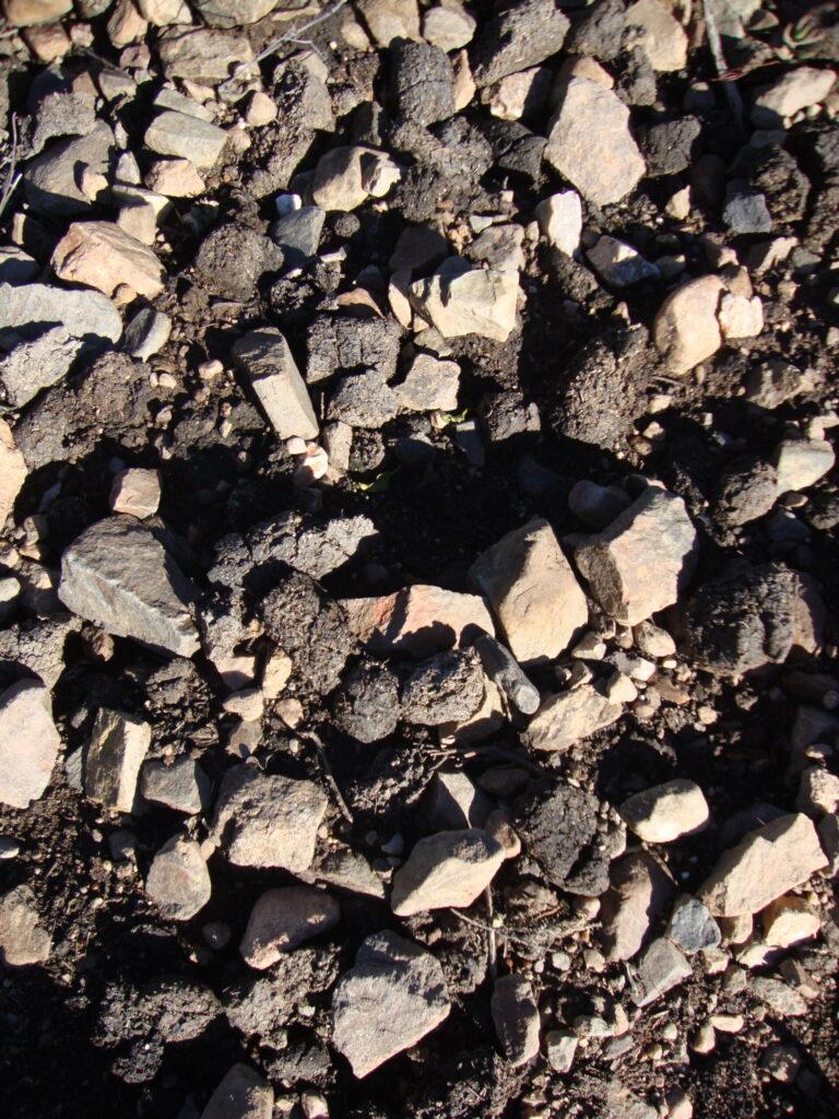 Aardwolf Midden