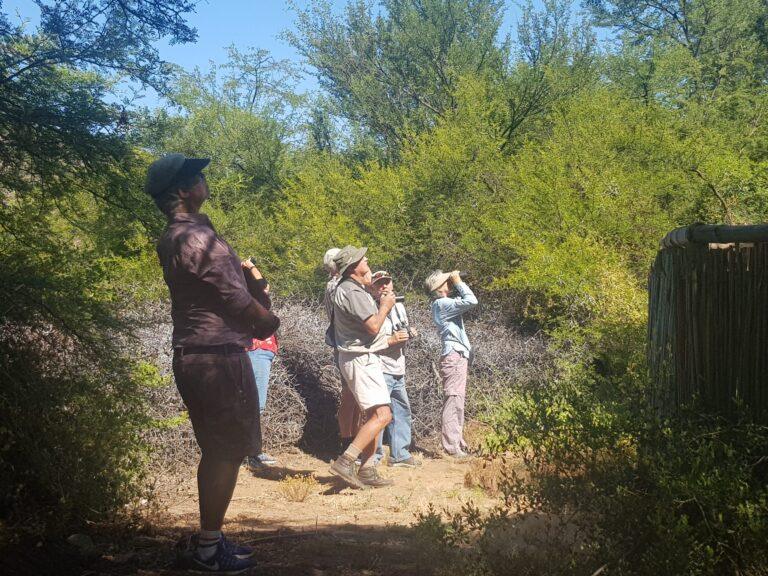 Guided Birding Walk