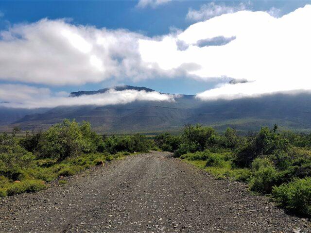 Birding in the Klein Karoo: An Oudtshoorn Adventure