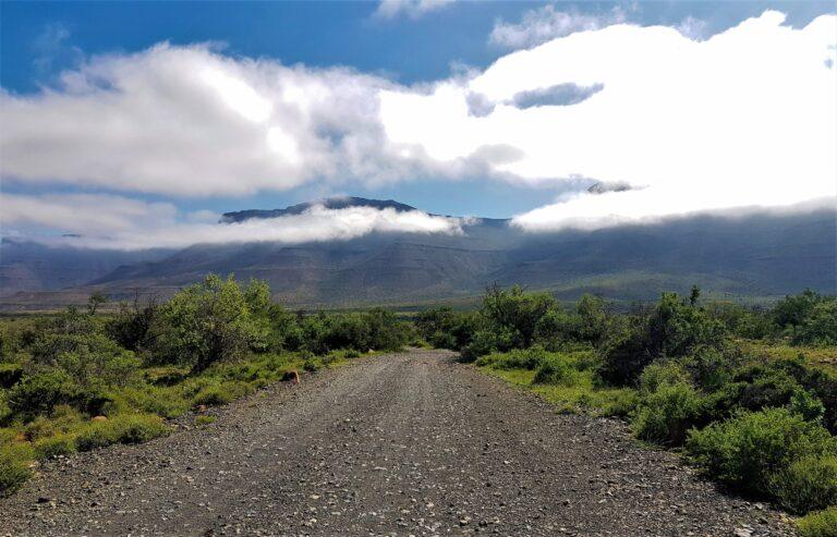Birding along the farm roads in Oudtshoorn