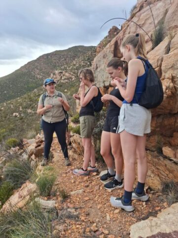 Guided Adventure Tours