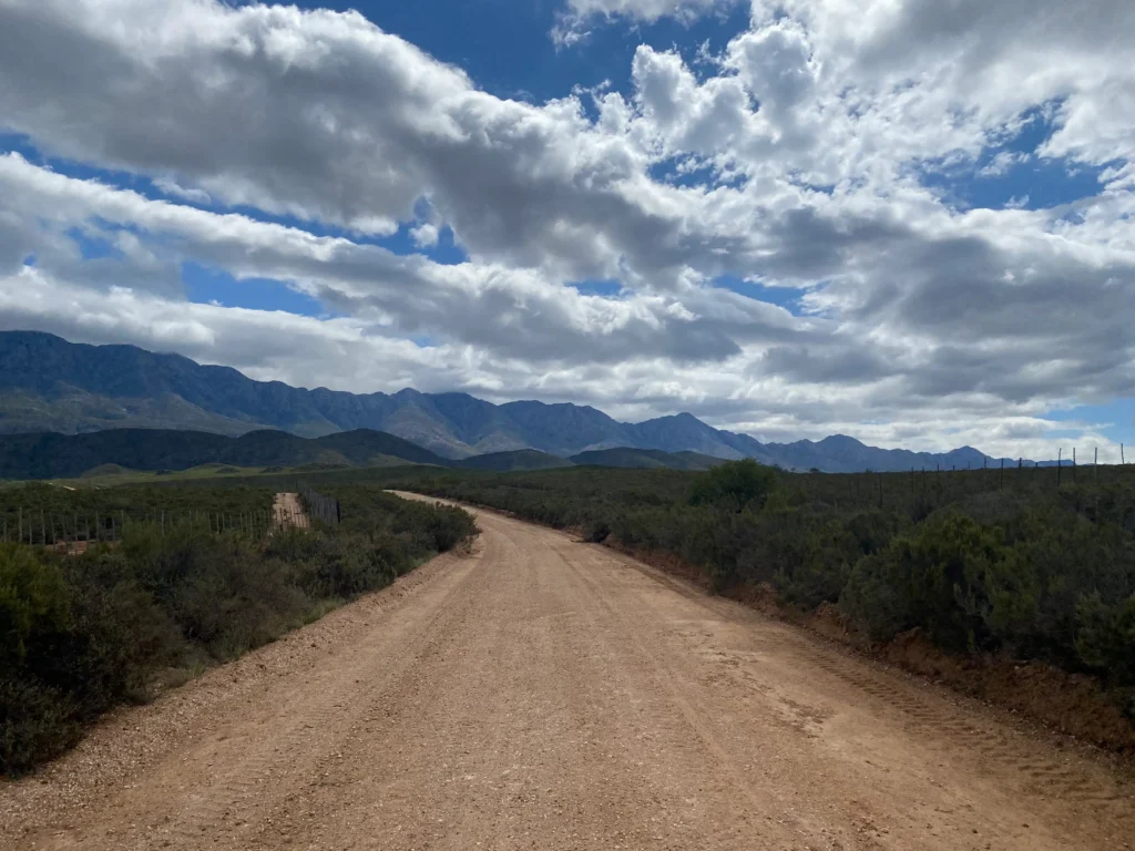 Karoo Country Road