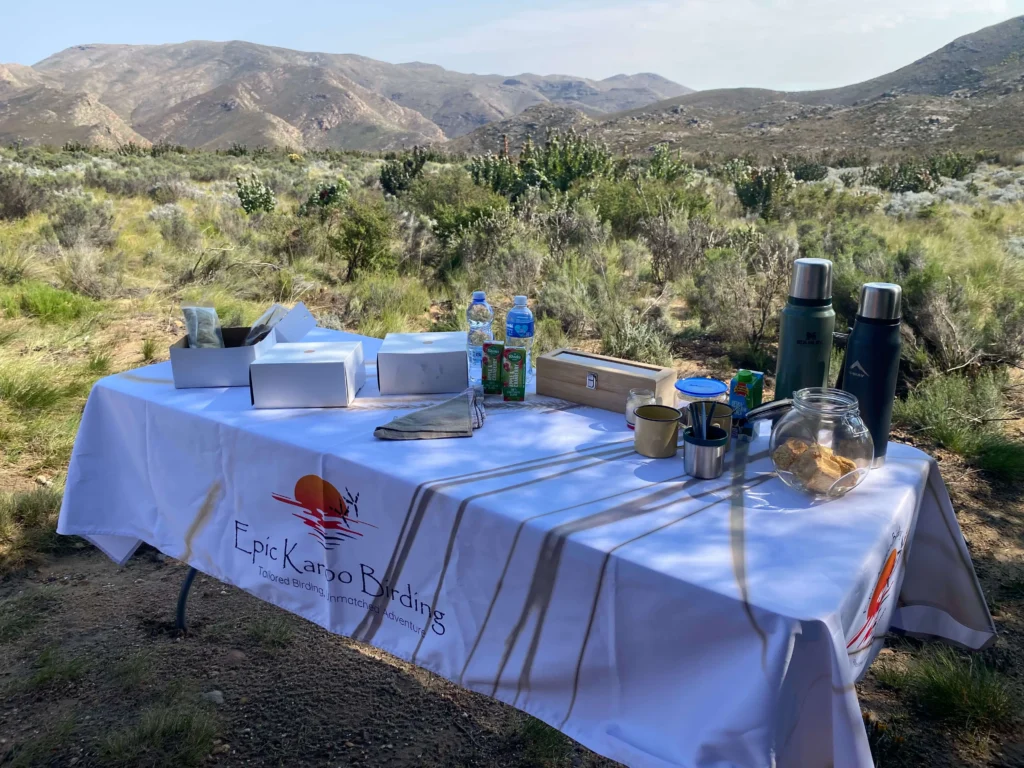 Breakfast Picnic on the Swartberg Mountain